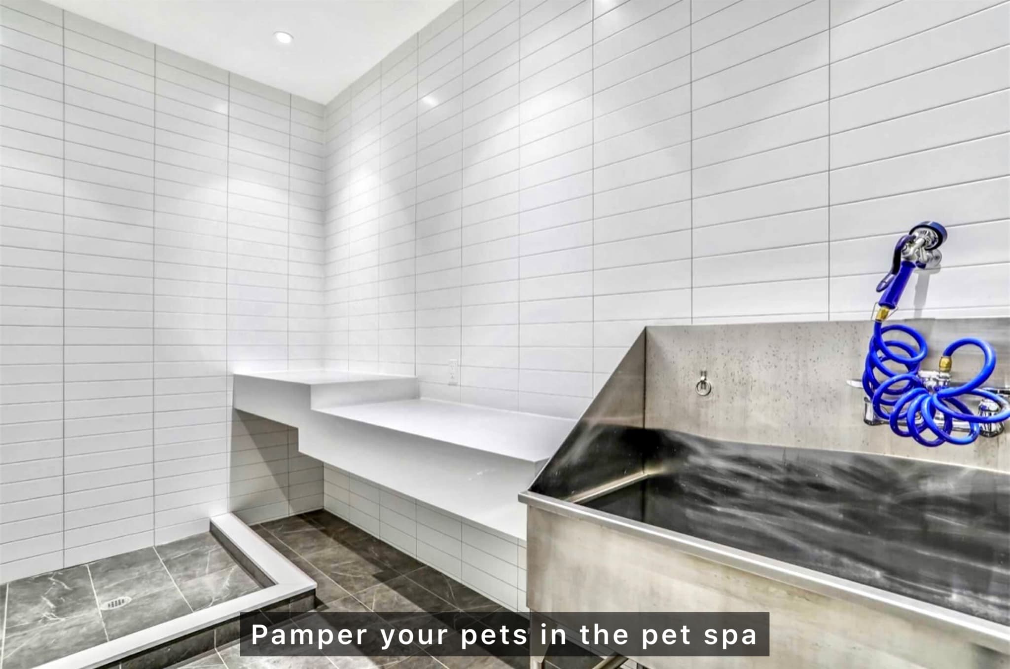 Modern pet grooming station with stainless steel tub, blue sprayer, and white tiled walls.
